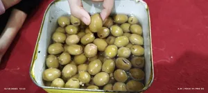 تجریه خرید زیتون شور بدون هسته ممتاز سمیران - 2600 گرم