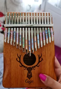 تجریه خرید کالیمبا سگا مدل CKc00-C