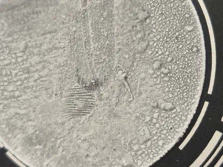 خنک کننده گوشی موبایل پی های تک مدل Turbo CX07.5