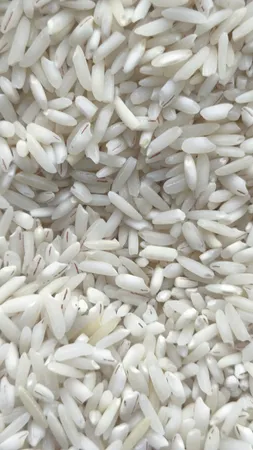 برنج هاشمی خوشپخت گیلان - 10 کیلوگرم