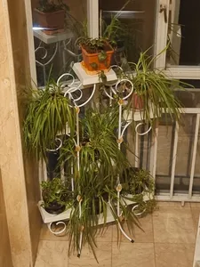 تجریه خرید استند گلدان مدل برج