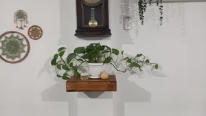 تجریه خرید گیره مدل پتوس کد G10 بسته 10 عددی