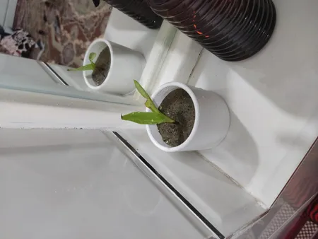 گلدان طرح استوانه مدل مهرنی 7.5-103