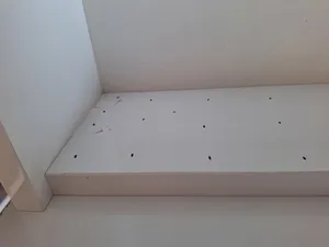 تجریه خرید دراور مدل مودنا کد sd-08