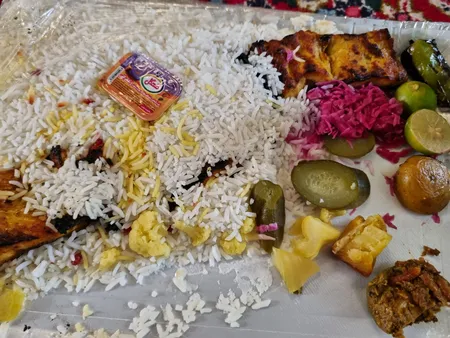 کباب پز روگازی صبا مدل رعنا