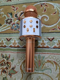 میکروفون اسپیکر بلوتوثی اسمارت بری مدل WS-858