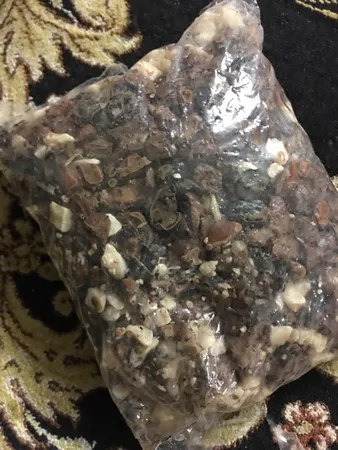 سنگ تزیینی آکواریوم مدل 5col وزن 1کیلوگرم