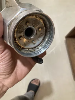 موکاپات مدل REGGE