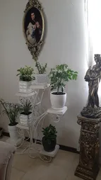 استند گلدان مدل ترنج شش عددی مونتاژی