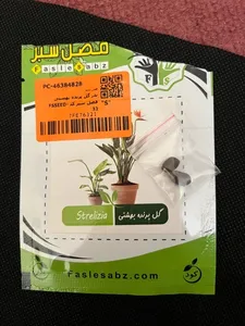 تجریه خرید بذر گل پرنده بهشتی فصل سبز کد FSSEED-32