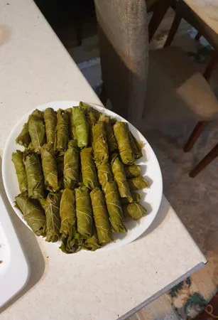 دلمه پیچ پارسینا مدل Quick Roller