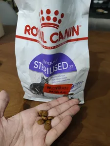 تجریه خرید غذای خشک گربه رویال کنین مدل STERILISED وزن 400 گرم