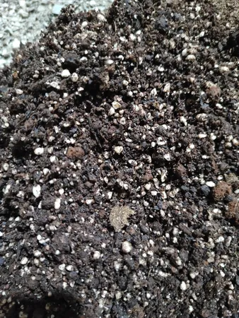 کوکوپیت و پیت ماس رویش مدل CC-MAS-3k کد Pack-01 مجموعه 3 عددی