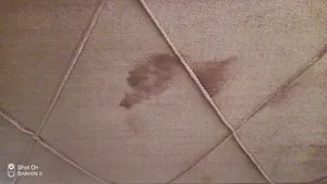 تجریه خرید مبل راحتی سه نفره شاهان دکور مدل چستر خطدار کد 1032