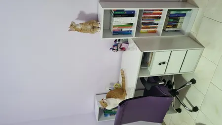 میز تحریر سازیما مدل ریتا