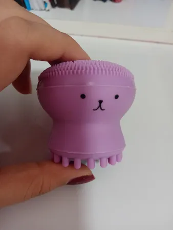 برس پاک‌سازی مدل B 0101