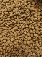 تجریه خرید غذای خشک گربه رفلکس پلاس مدل urinary with chicken وزن 1.5 کیلوگرم