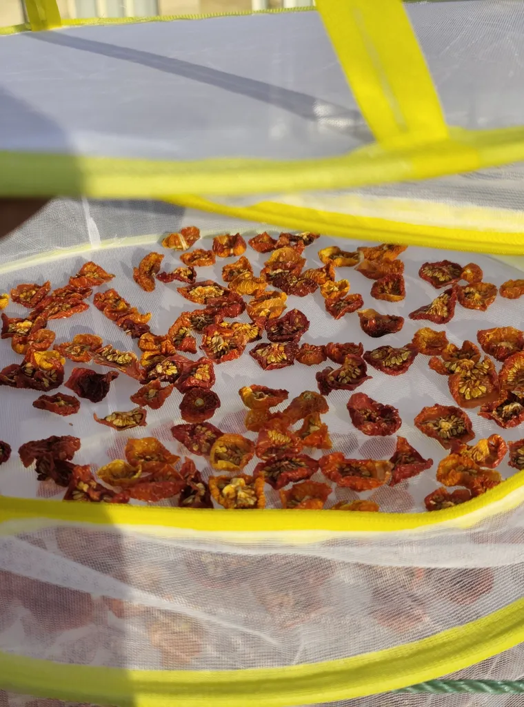 سبزی خشک کن دستی مدل ژار