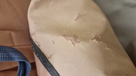 کوله پشتی مدل خرگوشی به همراه کیف غذا و کیف دوشی و کیف دستی و جامدادی