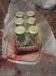 تجریه خرید مربا آلبالو شهدین - 930 گرم بسته 6 عددی