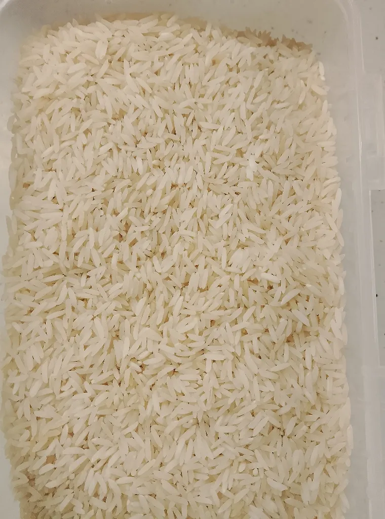 برنج خوشپخت شمال - 5 کیلوگرم