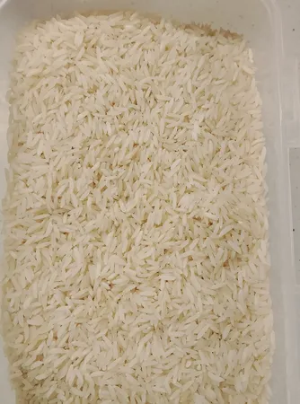 برنج خوشپخت شمال - 5 کیلوگرم