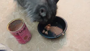 تجریه خرید کنسرو گربه شایر مدل مرغ و بوقلمون وزن 400 گرم