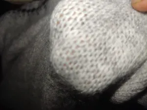 تجریه خرید پلیور زنانه اسمارا مدل IAN 362528_2101