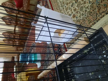 ظرف دانه مکانیزه کد 001