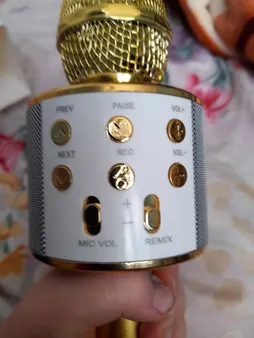 میکروفون اسپیکر بلوتوثی اسمارت بری مدل WS-858