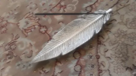 جاعودی مدل پر اکالیپتوس