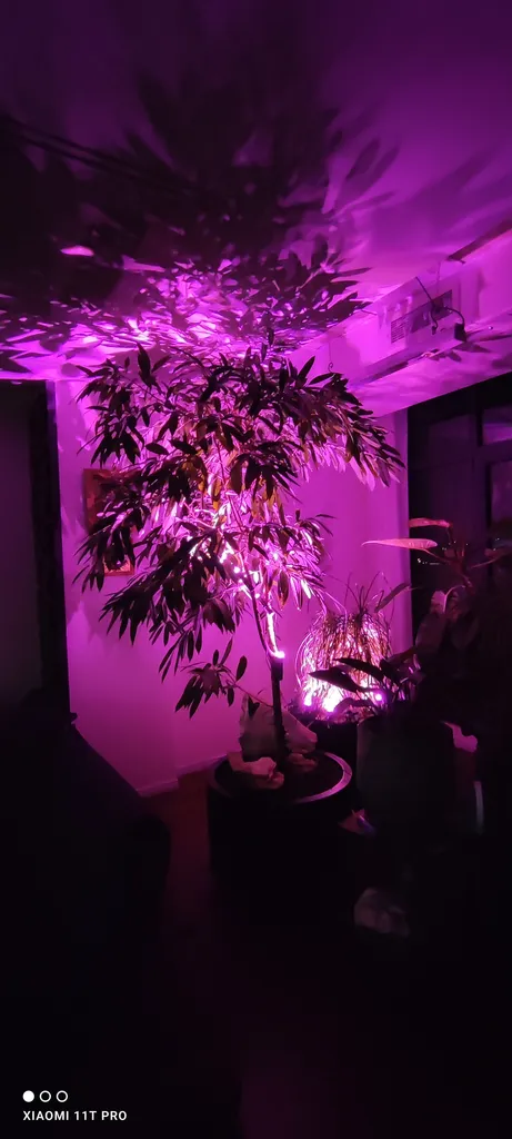 لامپ رشد گیاه 15 وات لایت ویژن مدل hp1-5w بسته سه عددی