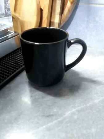 ماگ مدل دیپ بلک بسته 2 عددی