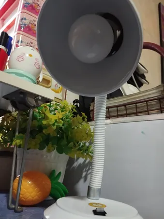 چراغ مطالعه کد R771