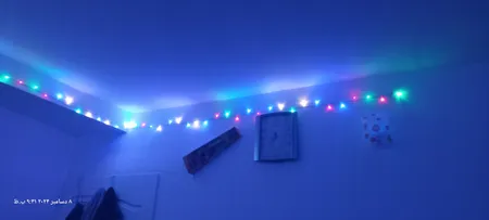 ریسه ال ای دی مدل سوزنی طول 10 متری