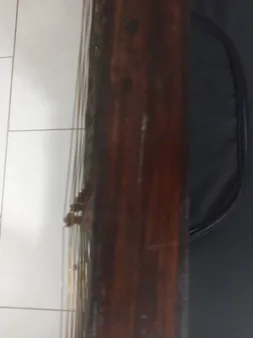 سنتور موسوی مدل اکونومی