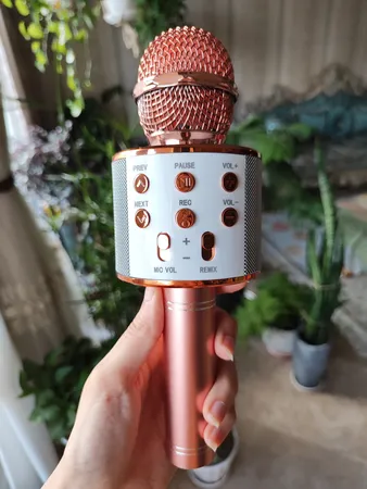 میکروفون اسپیکر مدل WS-858