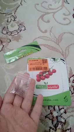 بذر گوجه گیلاسی قرمز فصل سبز کد SEED-024