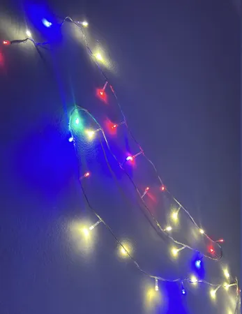 ریسه ال ای دی مدل سوزنی طرح پر طول 10 متری