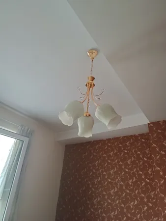 لوستر دیلایت طرح گیلاسی کد AZ1402/3-DLT780