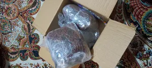 تجریه خرید غذای خشک گربه رفلکس مدل مولتی کالر وزن 2 کیلوگرم