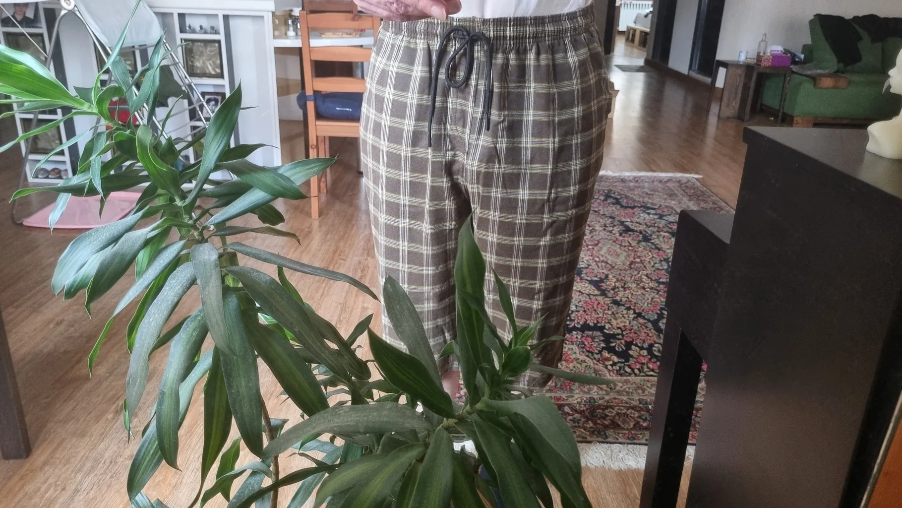 شلوارک مردانه آریان نخ باف مدل 1932 بسته 2 عددی