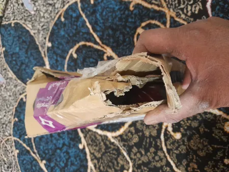 انبر پرچ دینگشی مدل DI-IN