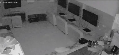 دوربین مداربسته تحت شبکه اسفیورد مدل Z336