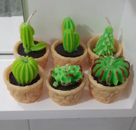 شمع طرح کاکتوس مجموعه 6 عددی