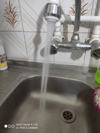 سرشیر پاندا کد 313