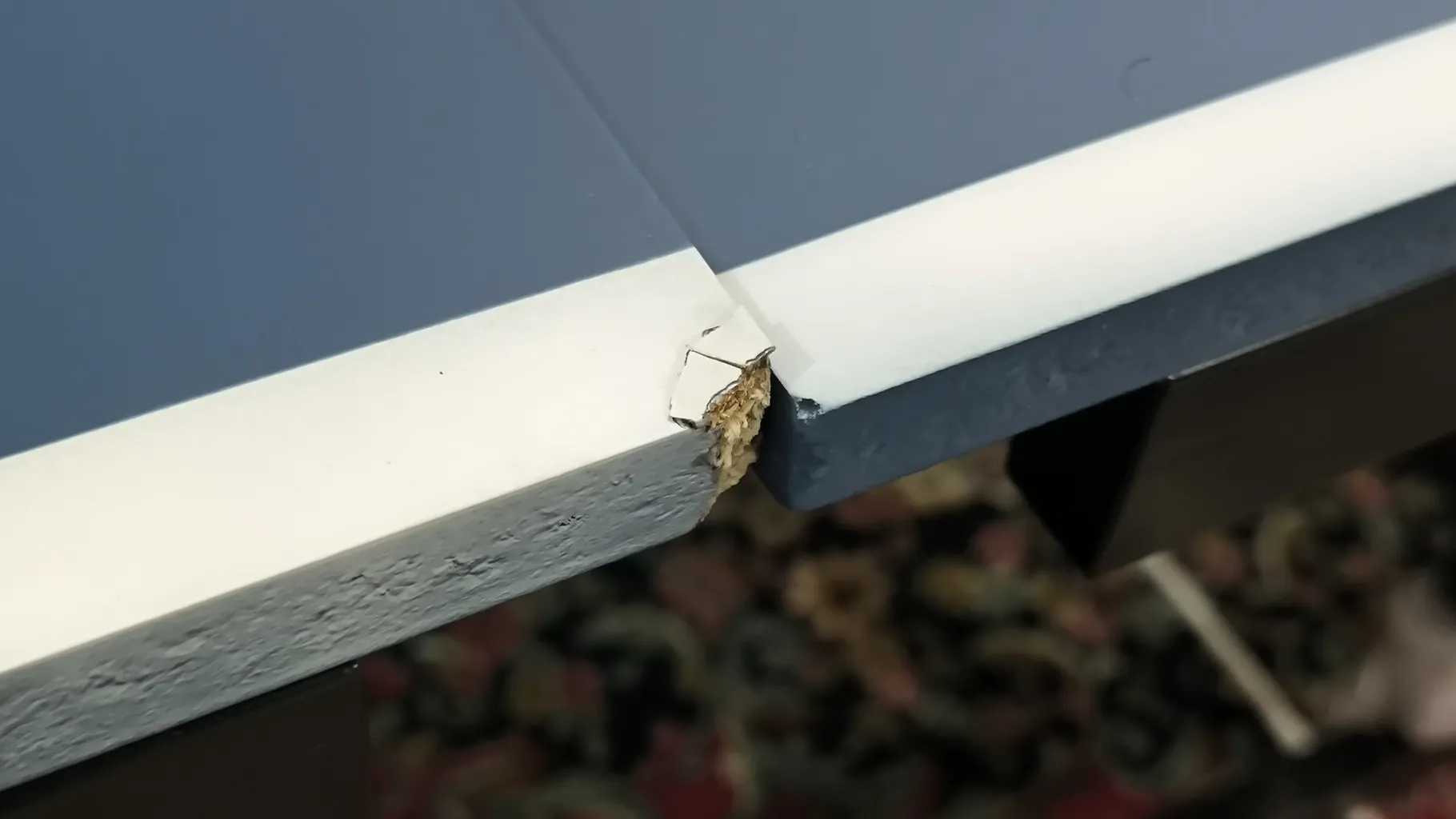 میز پینگ پنگ دی اچ اس مدل 001