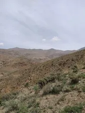 تجریه خرید دوربین دوچشمی بوشنل مدل 8X21 POWER