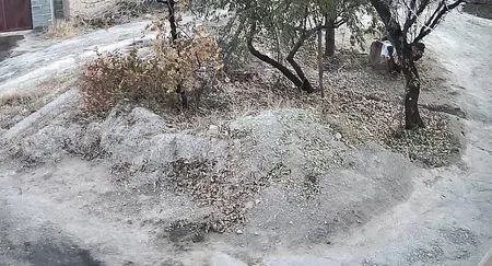 دوربین مداربسته تحت شبکه مدل خورشیدی سه لنز