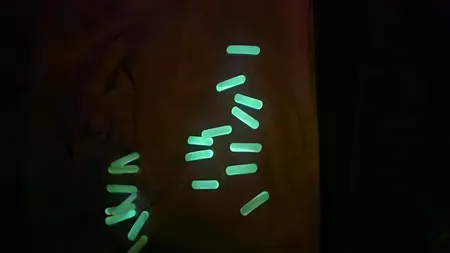 جلیقه اضطراری مدل چهار خطی